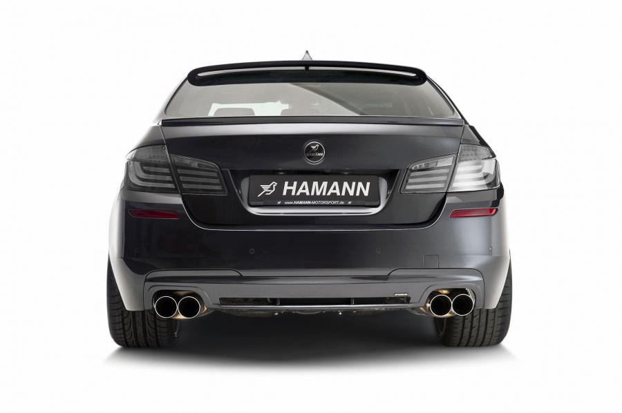  BMW 5-Series M-Technik by Hamann 2011 года  (фото 18 из 25)
